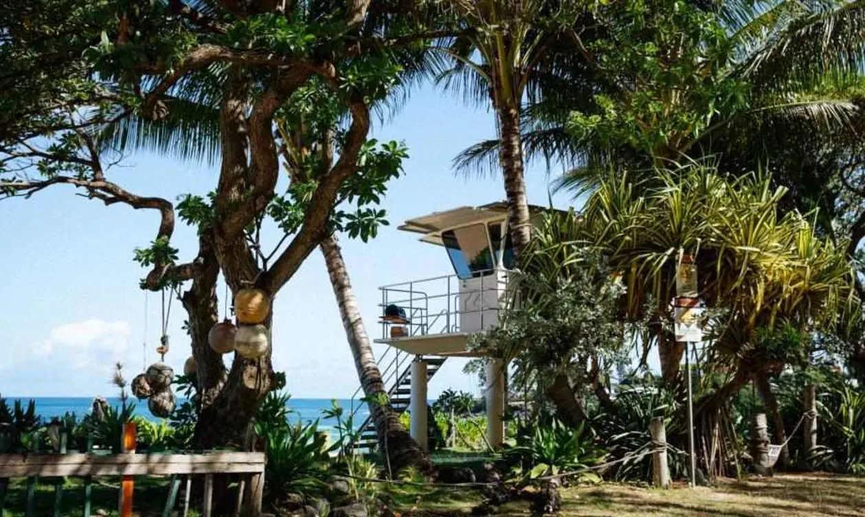 Turtle Bay Resort in Hawaii north-shore-beach